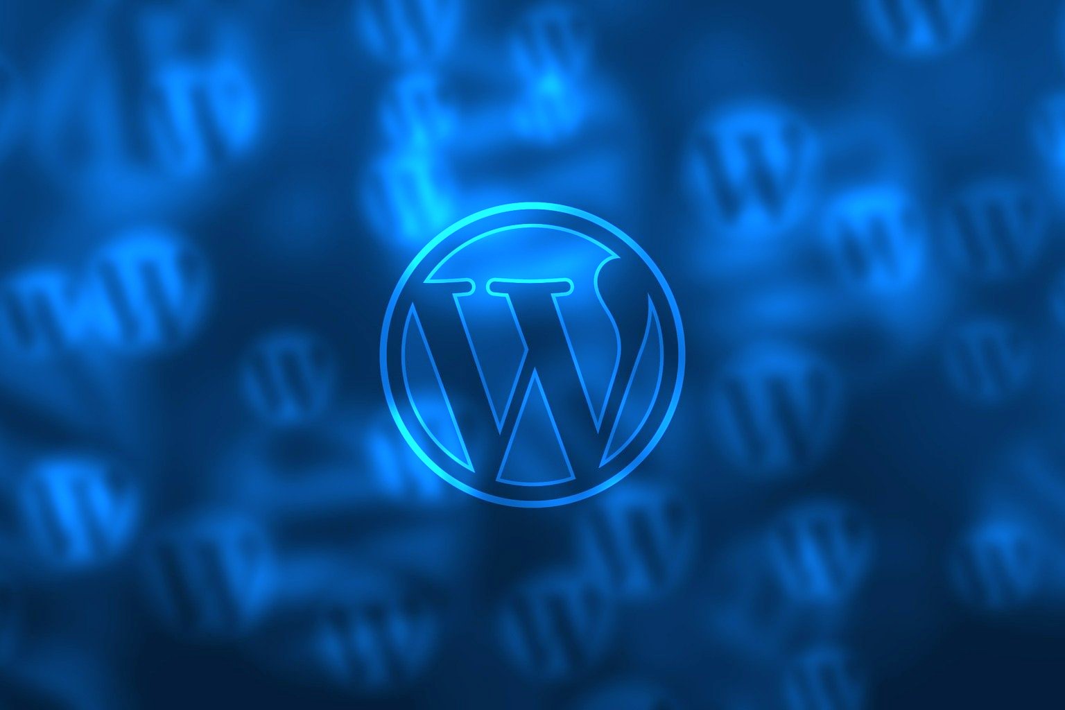 Why You Should Choose WordPress For Your Website